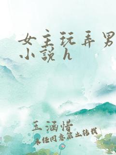 女主玩弄男人的小说 h