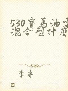 530宝马油电混合型什么价
