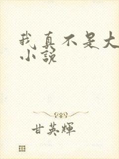 我真不是大反派小说