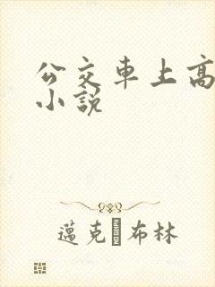 公交车上高潮的小说