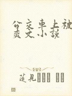 公交车上被强上爽文小说