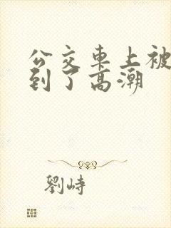 公交车上被人摸到了高潮