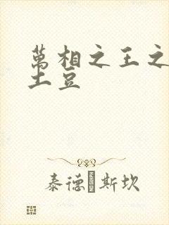 万相之王之天蚕土豆