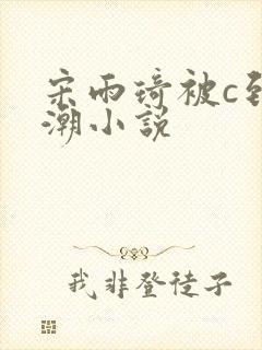 宋雨琦被c到高潮小说
