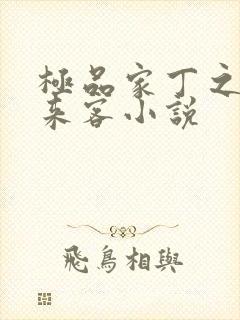 极品家丁之远方来客小说