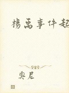 杨禹事件起因