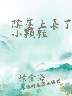 阴唇上长了几个小颗粒