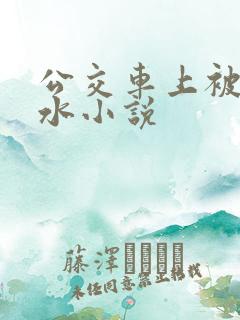 公交车上被蹭出水小说