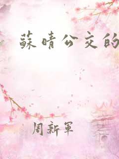 苏晴公交的小说