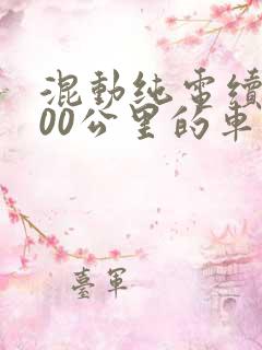 混动纯电续航300公里的车