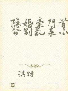 隐婚豪门首席老公别乱来小说