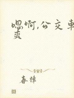 嗯啊,公交车,爽