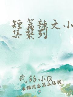 短篇辣文小说合集系列