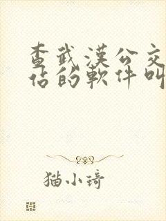 查武汉公交车到站的软件叫什么