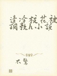 清冷校花被屈辱调教h小说