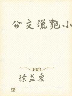 公交猎艳小说