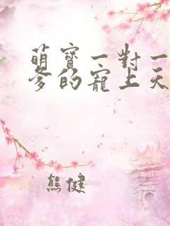 萌宝一对一总裁爹的宠上天