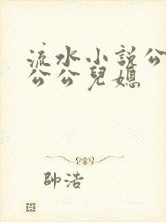 流水小说公交车公公儿媳