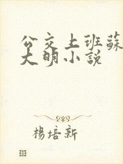 公交上班苏晴杨大明小说