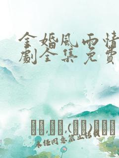 金婚风雨情电视剧全集免费高清在线观看