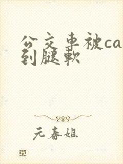 公交车被cao到腿软