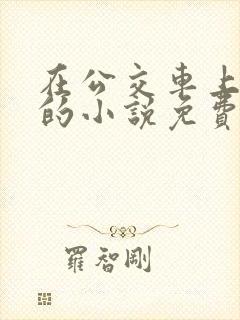 在公交车上高潮的小说免费阅读