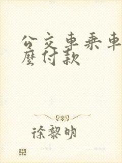 公交车乘车码怎么付款