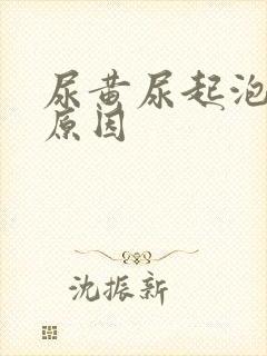 尿黄尿起泡什么原因