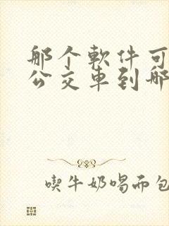 那个软件可以看公交车到哪里了