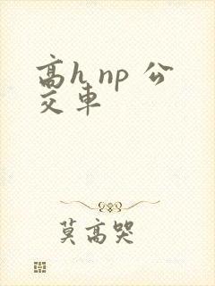 高h np 公交车