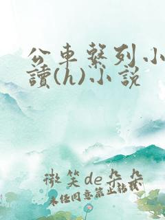 公车系列小说阅读(h)小说