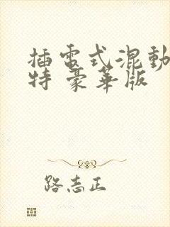 插电式混动帕萨特 豪华版