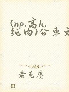 (np,高h,纯肉)公车文