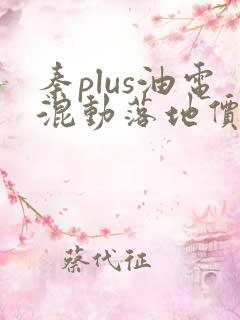 秦plus油电混动落地价