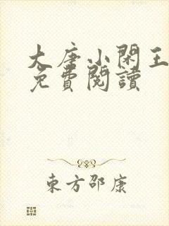 大唐小闲王小说免费阅读