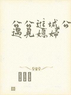 公公进城公交车遇见媳妇