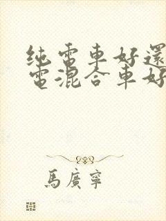 纯电车好还是油电混合车好