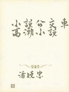 小说公交车被上高潮小说