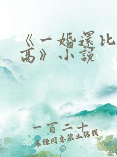 《一婚还比一婚高》小说