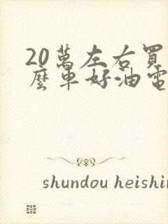 20万左右买什么车好油电混合