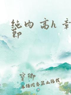 纯肉 高h 章节