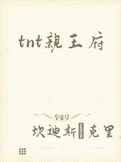 tnt亲王府