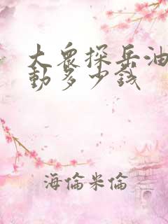 大众探岳油电混动多少钱
