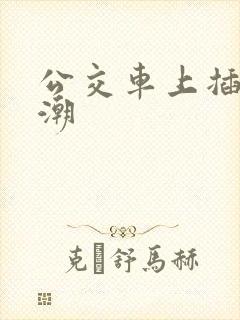 公交车上插入高潮
