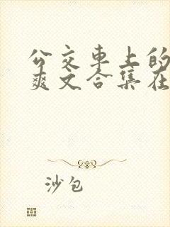 公交车上的长篇爽文合集在线阅读