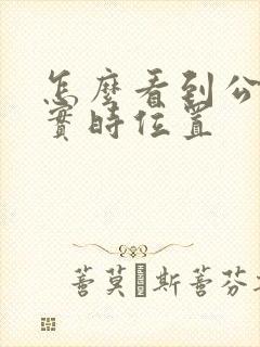 怎么看到公交车实时位置