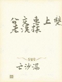公交车上双乳被老汉揉