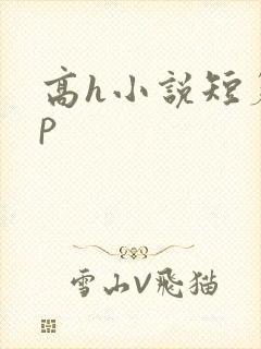 高h小说短篇np