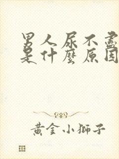 男人尿不尽尿黄是什么原因
