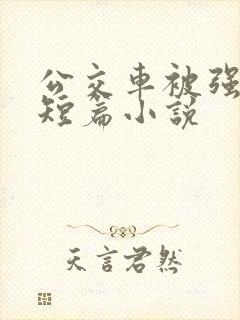 公交车被强系列短篇小说